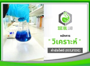 รับวิเคราะห์ sulfide