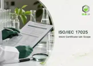 ภาพปกบทความ ISO/IEC 17025 แสดงการตรวจเอกสาร Certificate และ Scope
