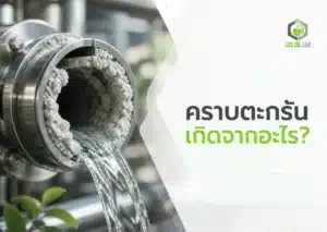 ภาพปกบทความแสดงคราบตะกรันสะสมภายในท่อโลหะในระบบน้ำ